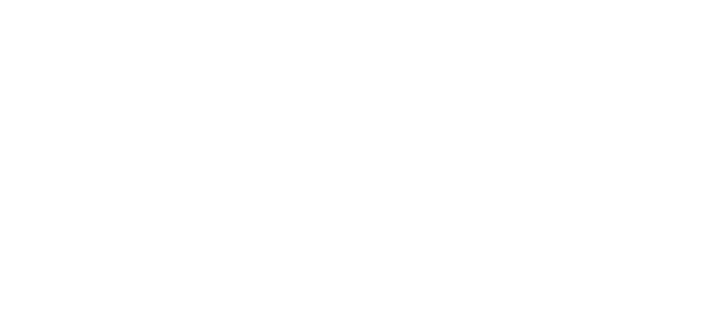 People's Action logo